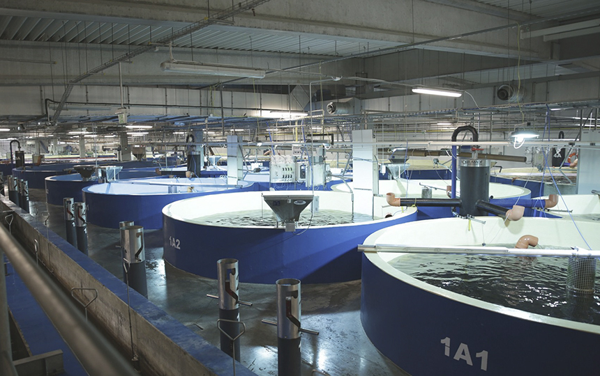 6. Traitement de l'eau en fibre de verre